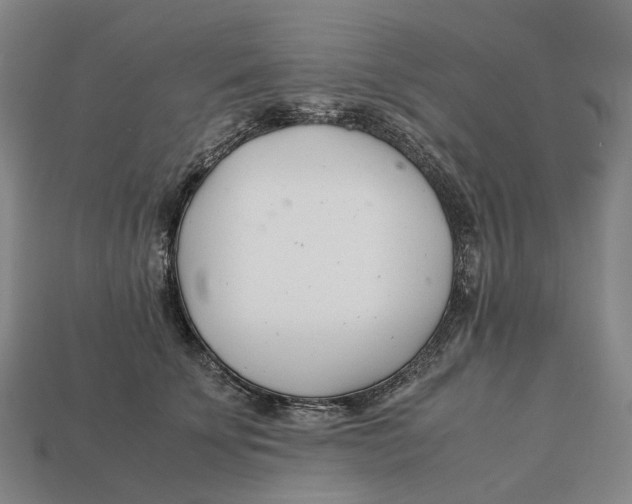 X0000113090707200909251010