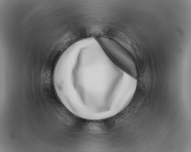 X0000113090708200909251010