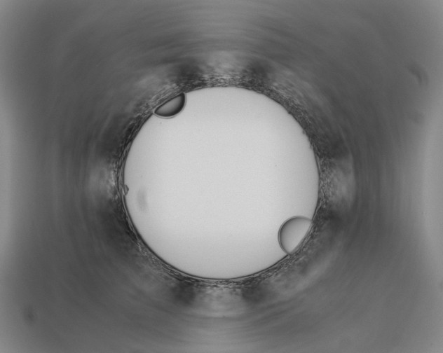 X0000113090709200909251010