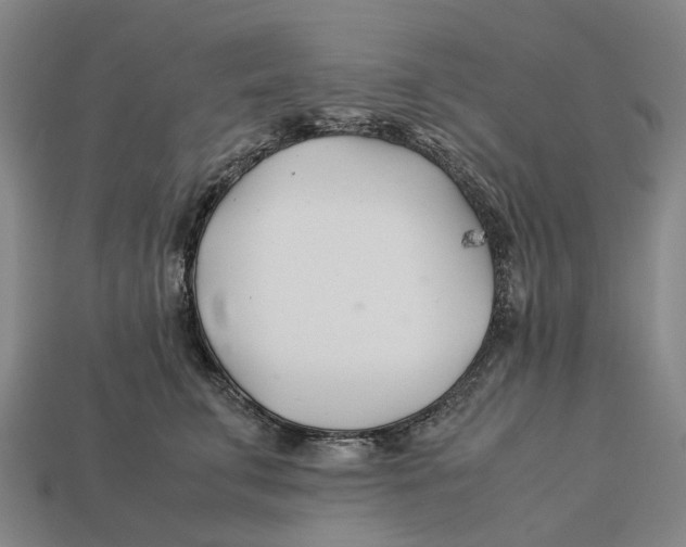 X0000113090711200909251010