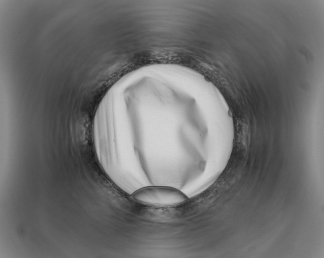 X0000113090712200909251010