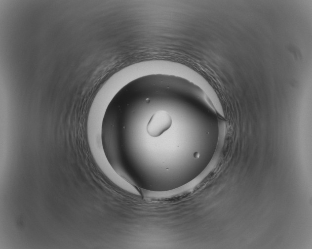 X0000113090713200909251010