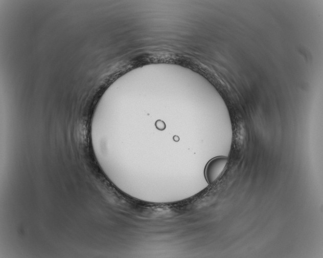 X0000113090715200909251010