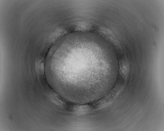 X0000113090716200909251010