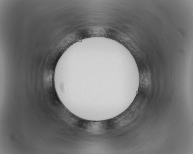 X0000113090717200909251010