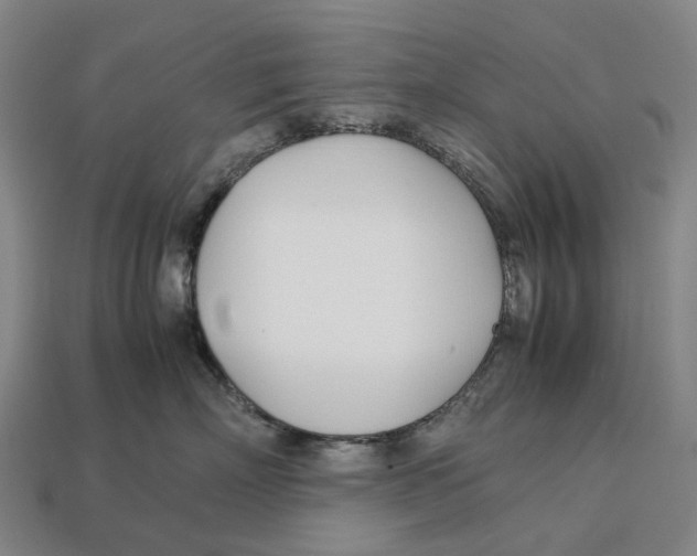 X0000113090718200909251010