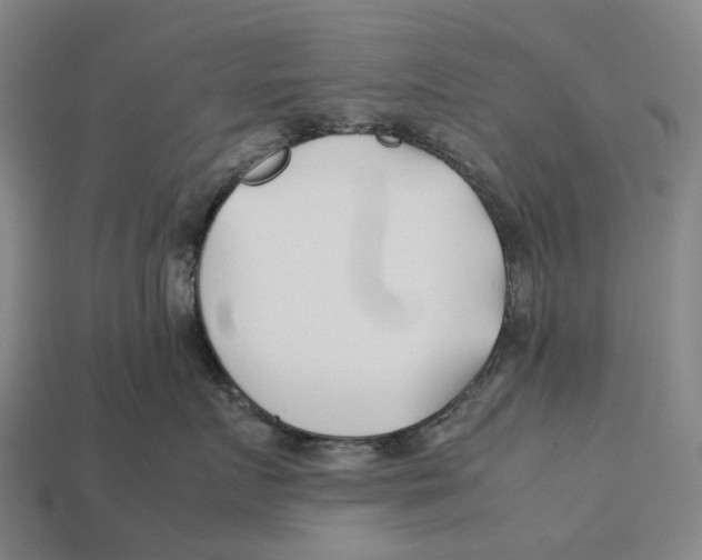 X0000113090719200909251010