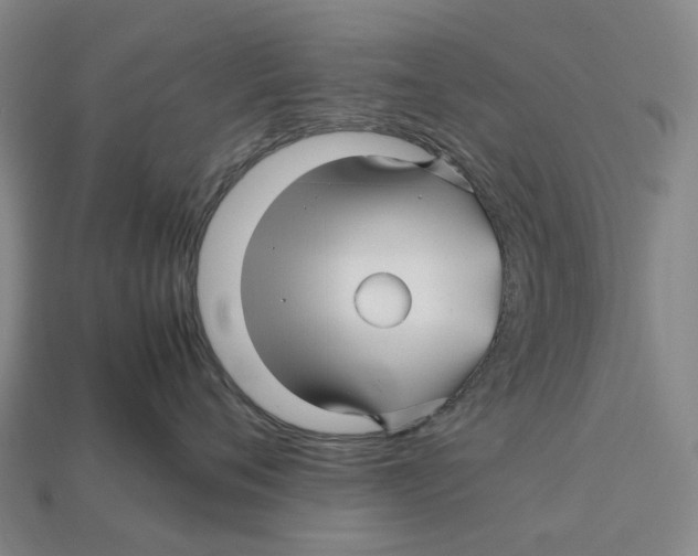 X0000113090720200909251010