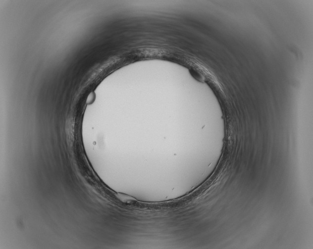 X0000113090722200909251009