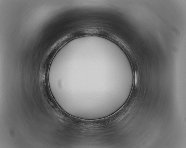 X0000113090723200909251009
