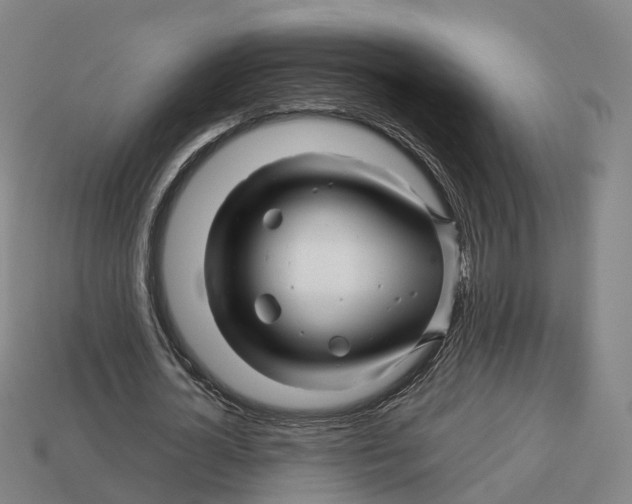 X0000113090724200909251009
