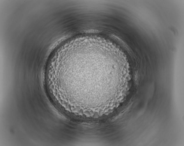 X0000113090725200909251009