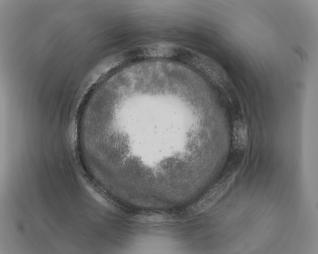 X0000113090726200909251009
