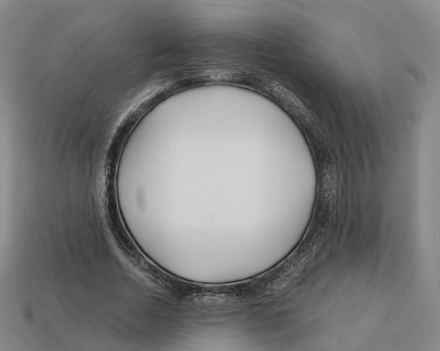 X0000113090730200909251009