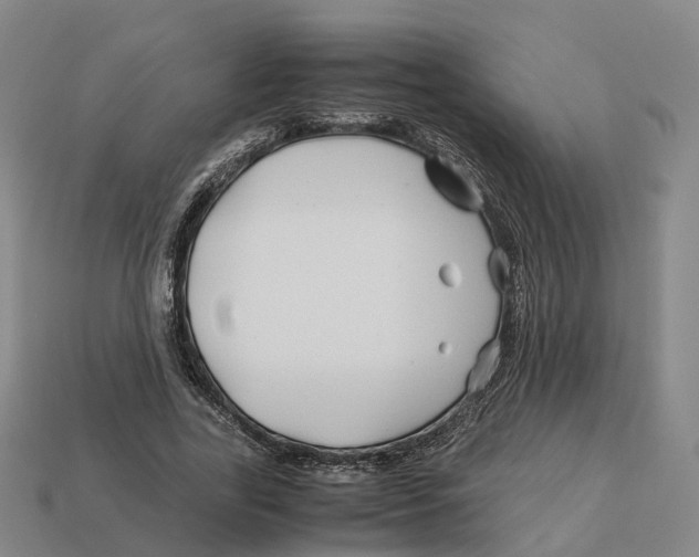 X0000113090731200909251009