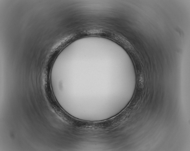 X0000113090732200909251009