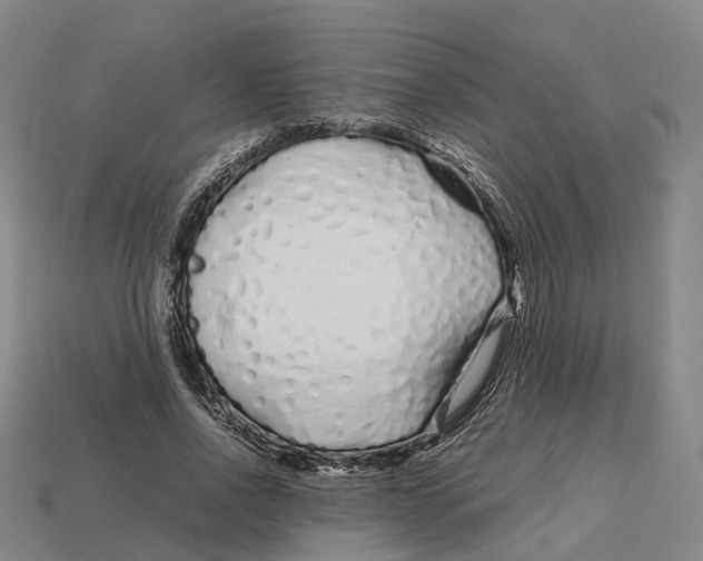 X0000113090734200909251009
