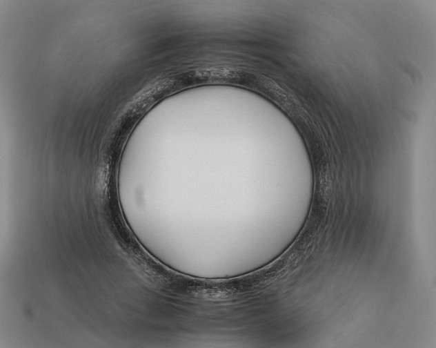 X0000113090735200909251009