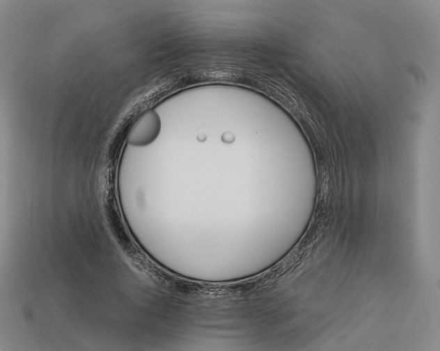 X0000113090736200909251010