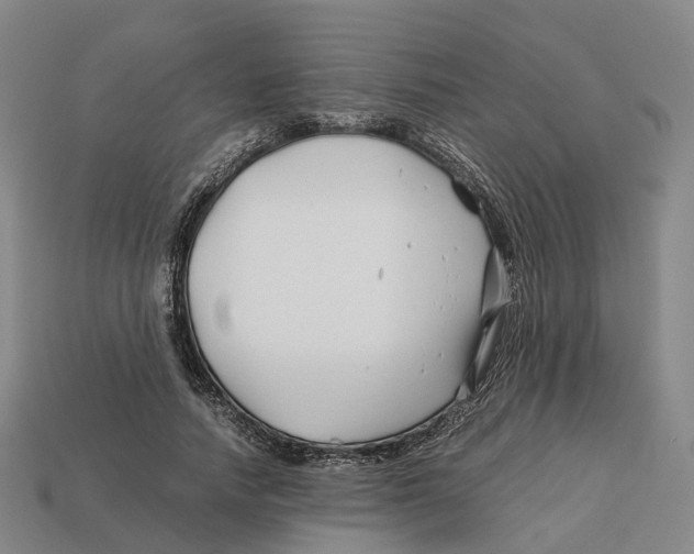 X0000113090738200909251010