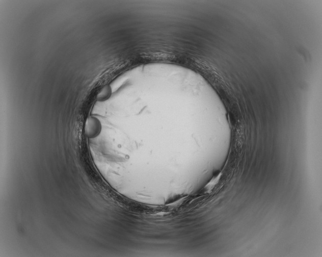 X0000113090739200909251010
