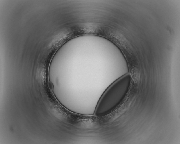 X0000113090740200909251010