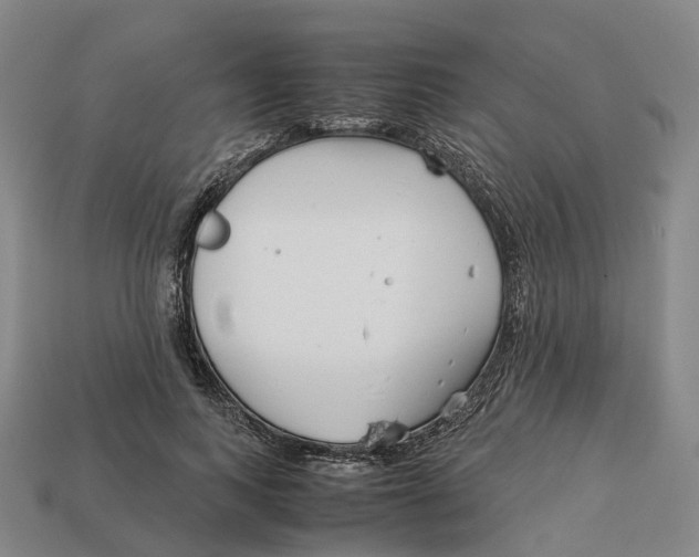 X0000113090743200909251010