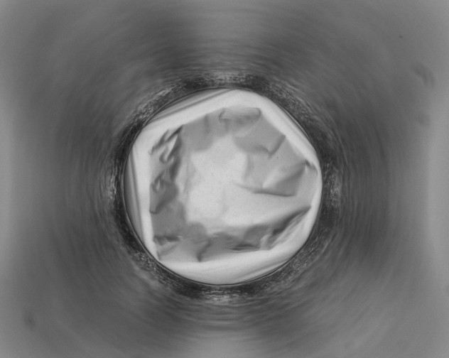 X0000113090746200909251010