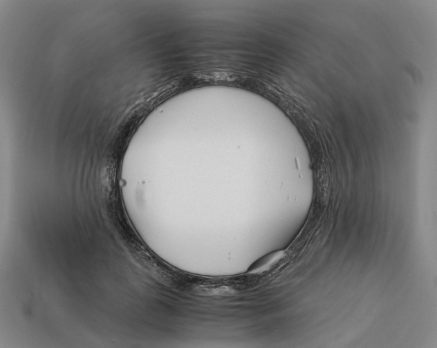 X0000113090747200909251010