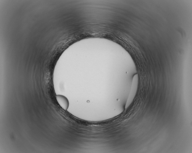 X0000113090748200909251010