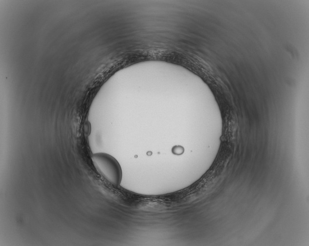 X0000113090750200909251010