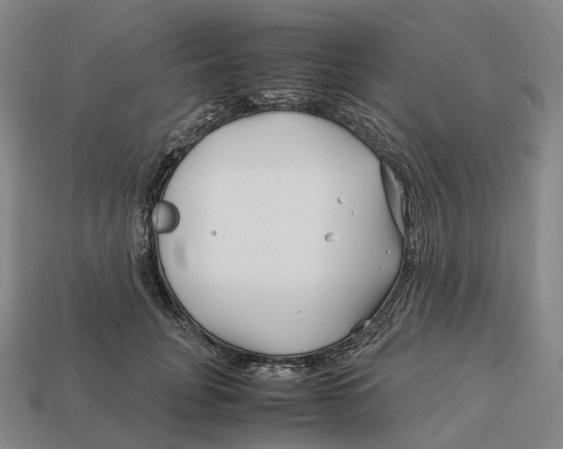 X0000113090751200909251010