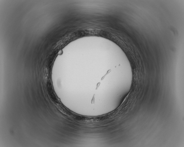 X0000113090752200909251010