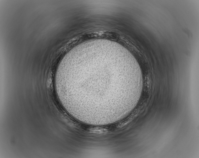 X0000113090754200909251010