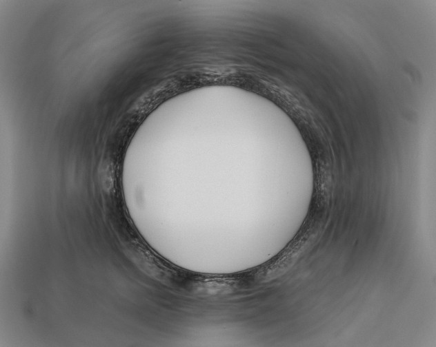 X0000113090758200909251010
