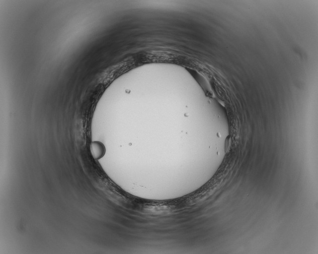 X0000113090759200909251010