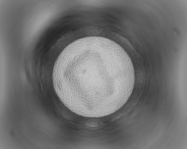 X0000113090761200909251010