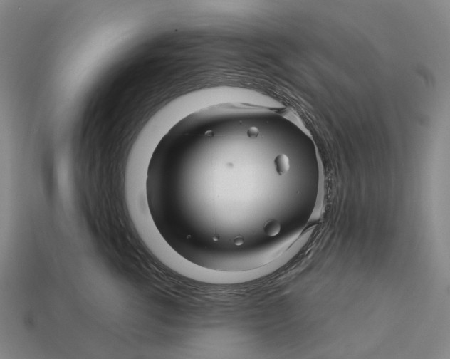 X0000113090762200909251010