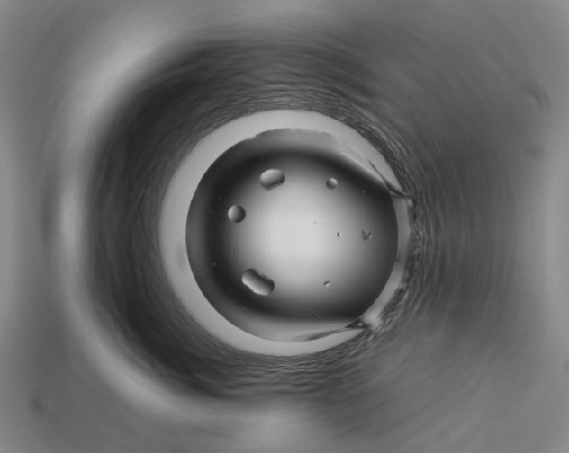 X0000113090764200909251010