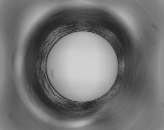 X0000113090765200909251010