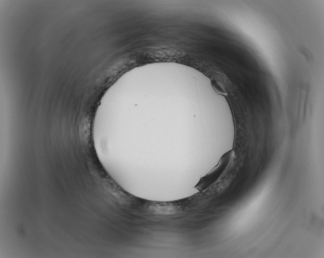 X0000113090767200909251010