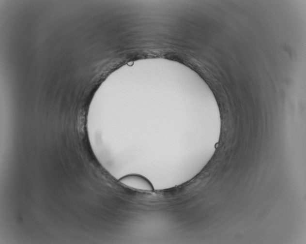X0000113090768200909251010