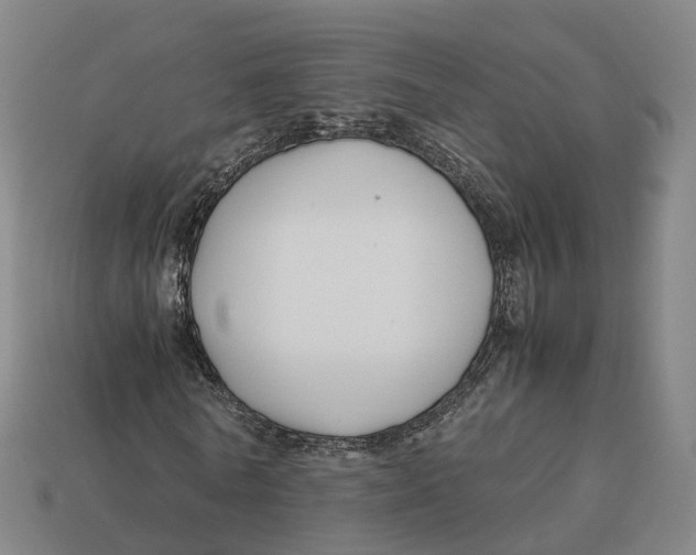 X0000113090770200909251009