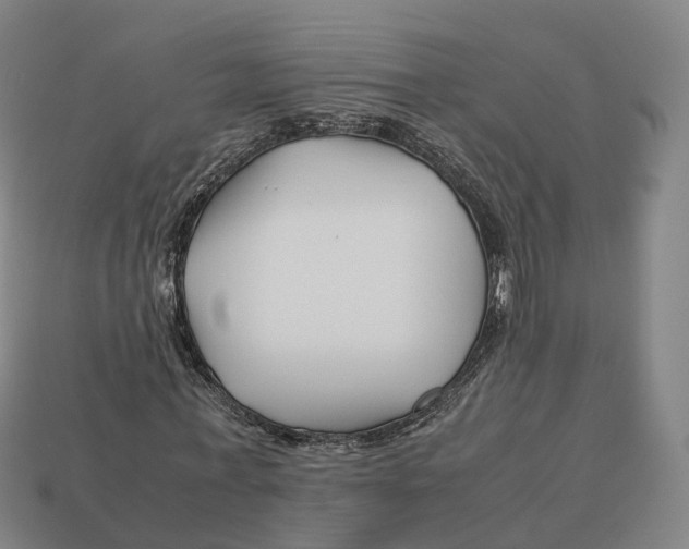 X0000113090771200909251009