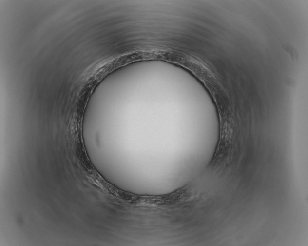 X0000113090773200909251009
