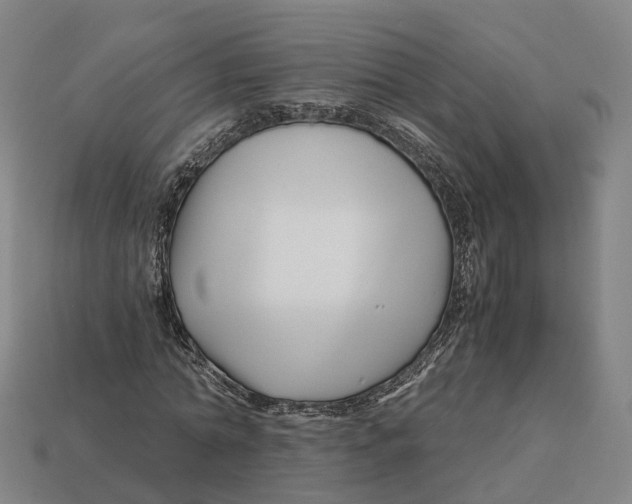X0000113090774200909251009