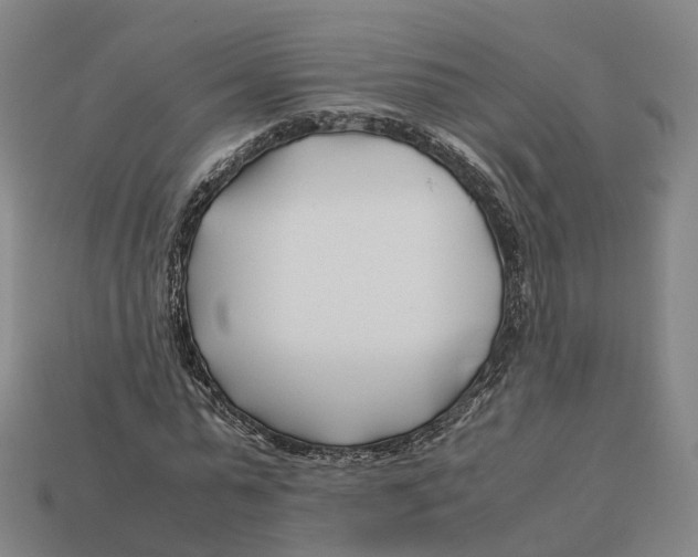 X0000113090775200909251009