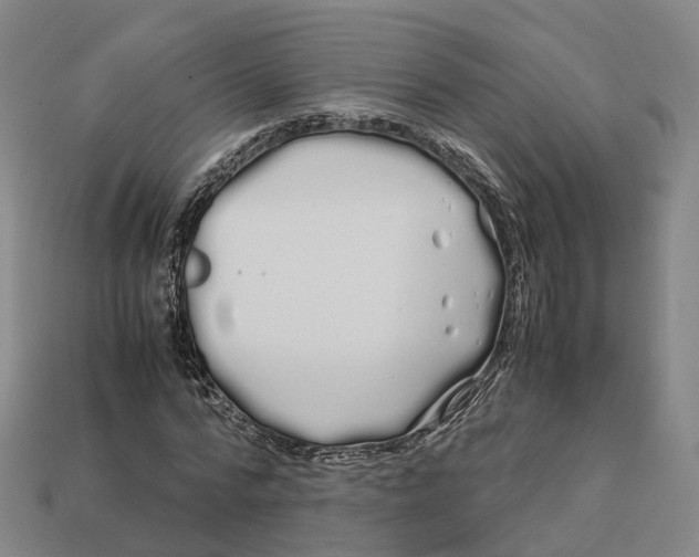 X0000113090776200909251009