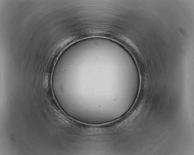 X0000113090777200909251009