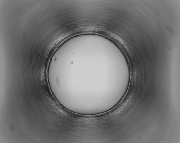 X0000113090778200909251009